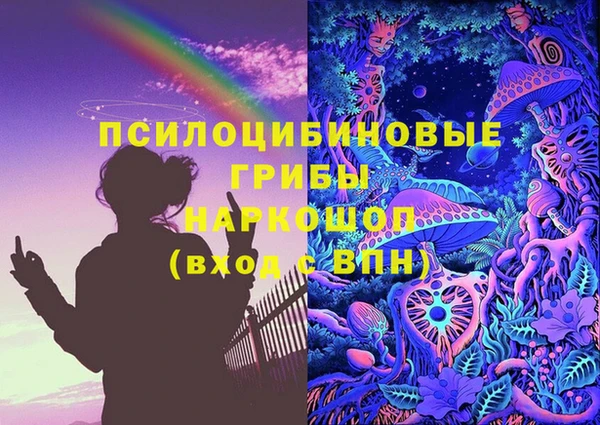 ECSTASY Зеленодольск