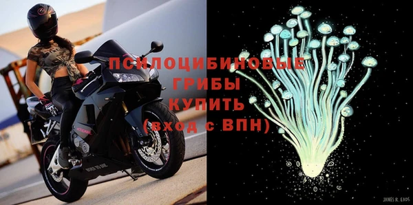 ECSTASY Зеленодольск