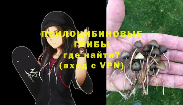 ECSTASY Зеленодольск