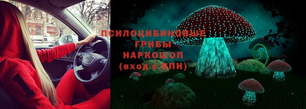 ECSTASY Зеленодольск